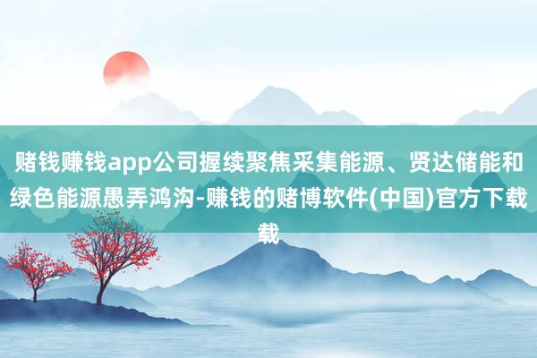 赌钱赚钱app公司握续聚焦采集能源、贤达储能和绿色能源愚弄鸿沟-赚钱的赌博软件(中国)官方下载