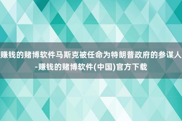 赚钱的赌博软件马斯克被任命为特朗普政府的参谋人-赚钱的赌博软件(中国)官方下载